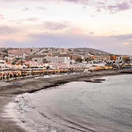 Lf De Un Con Ai Cerca De La Playa De Fanabe Costa Adeje (Tenerife)