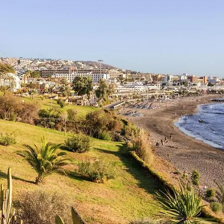 Lf De Un Con Ai Cerca De La Playa De Fanabe Costa Adeje (Tenerife)